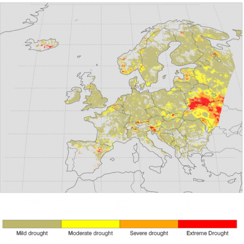 Severity of the drought in July groundwater storage (SGI-1, 25th percentile of 51 ensemble members).